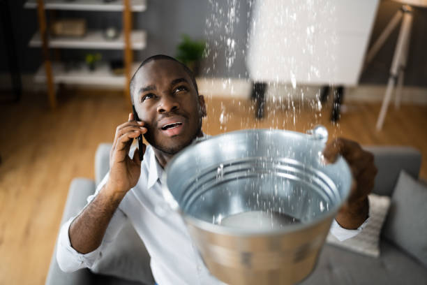 Best Water damage restoration process  in Avon, MN