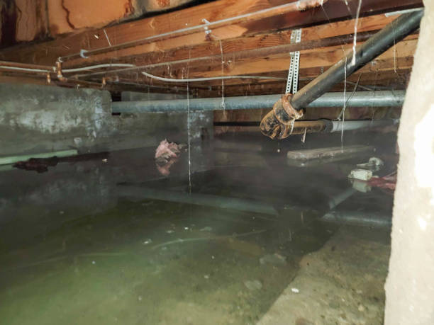Water damage restoration process in MN