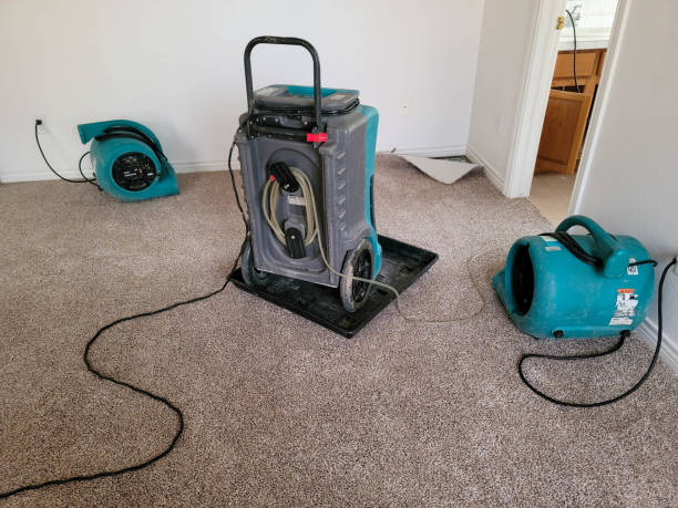 Best Flood restoration services  in Avon, MN