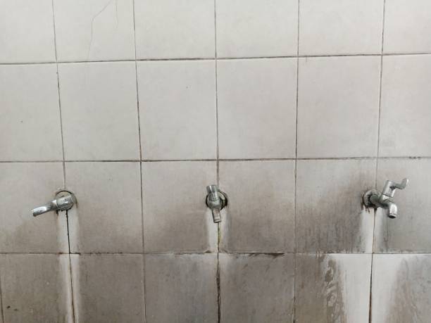 Best Ceiling water damage repair  in Avon, MN