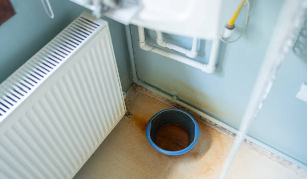 Best 24/7 water damage repair  in Avon, MN