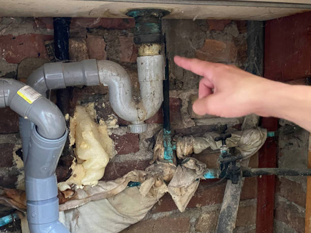 Best Carpet water damage restoration  in Avon, MN