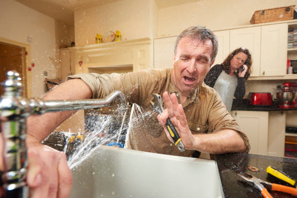 Best Flood damage cleanup  in Avon, MN